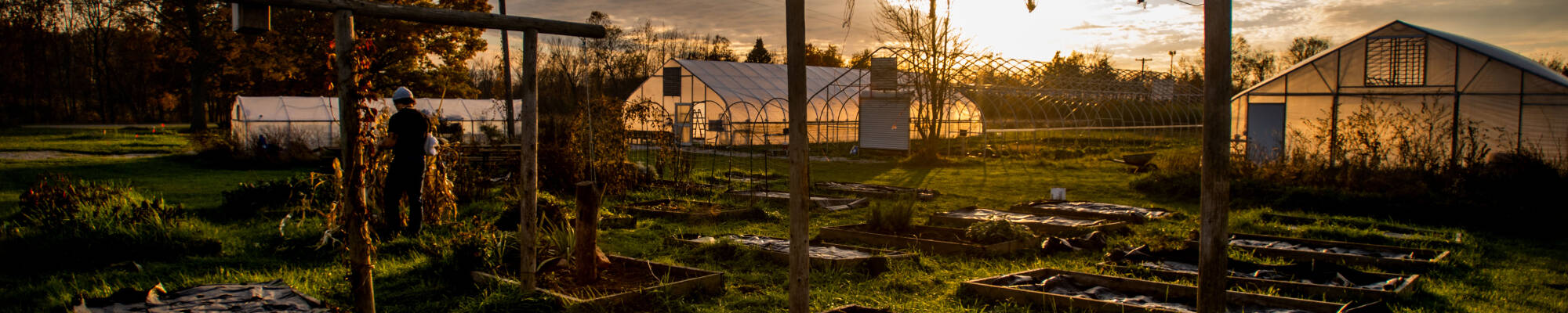 Sustainable Agriculture Farm at sunset